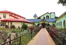 Completed school entrance